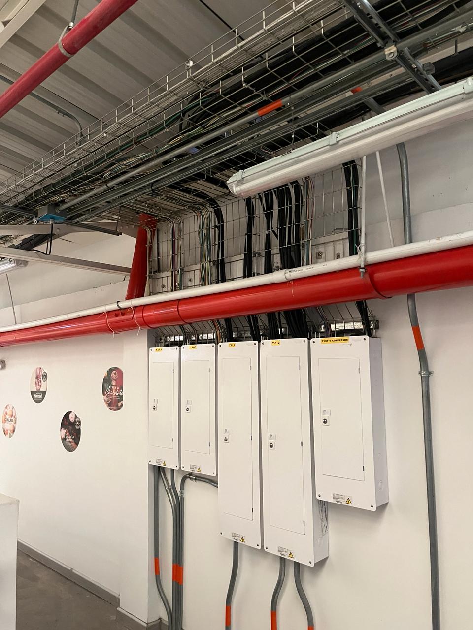 Técnico Soleycon en trabajo de campo eléctrico